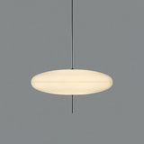 Acrylic Shade Pendant Light Detail