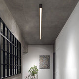 Noirline Black Linear Ceiling Light overall product view - OpalDwell