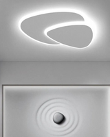 Asymmetrical Ceiling Lamp Fixture
