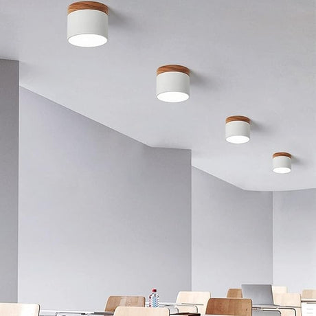 Minimalist Aluminum Ceiling Light For Hallway - OroDwell
