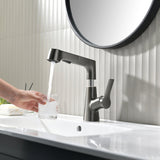 Pull-Out Kitchen Faucet 360 Rotation