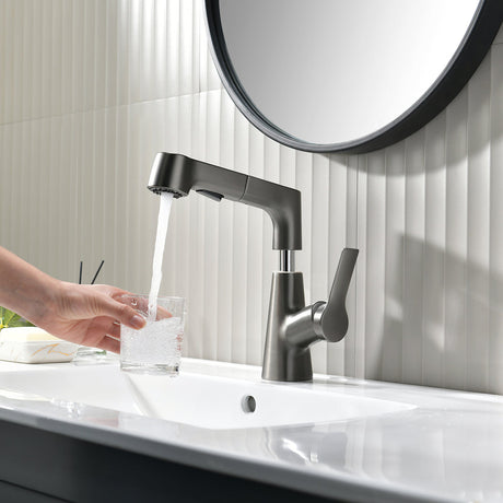 Pull-Out Kitchen Faucet 360 Rotation