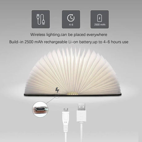 Open Book Lamp Front View Product Display