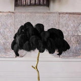 Feather lamp for boutique interiors