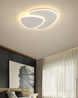 Ceiling Light for Home Decor Enthusiasts