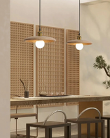 LumaNova Japandi Pendant Light energy-efficient LED close-up - OpalDwell