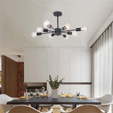 adjustable cord length ceiling light