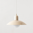 Iron and Glass Pendant Light for Dining Room Lighting | OroDwell