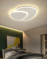Ceiling Lamp for Entryway Ambiance