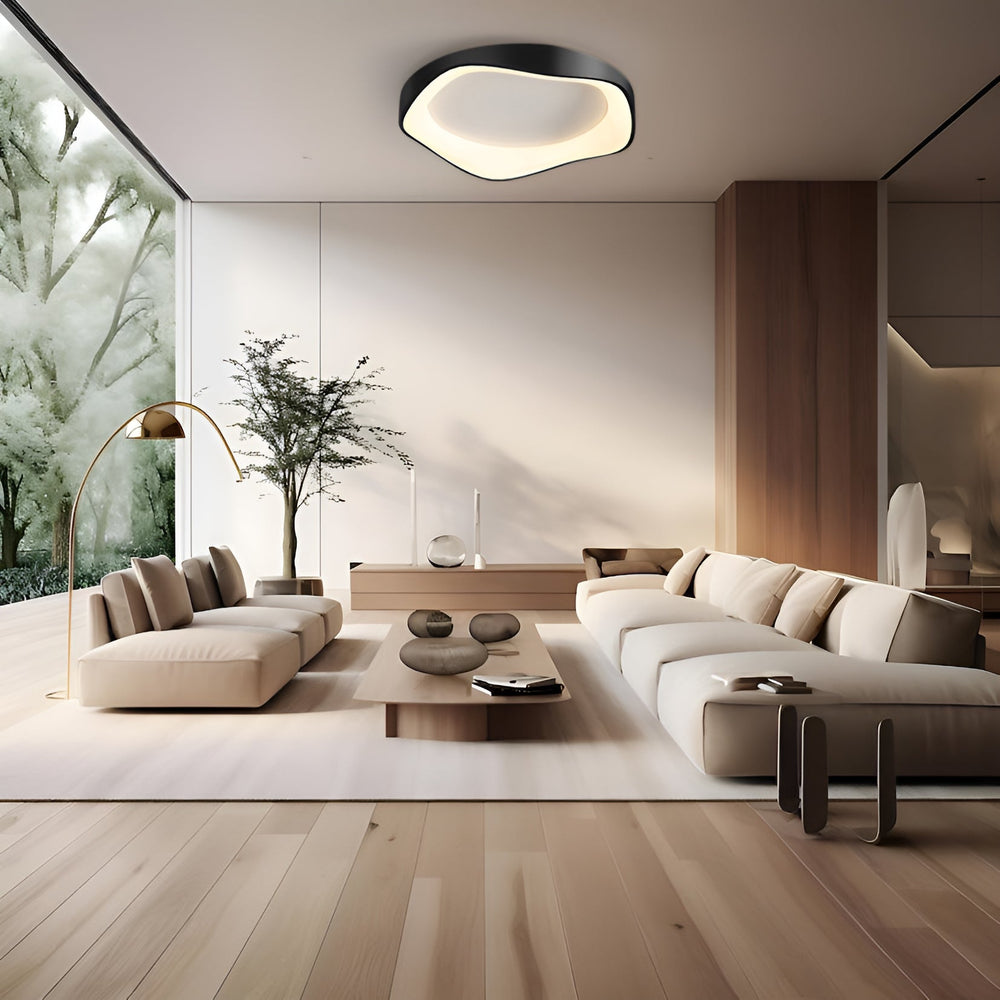 Ceiling and Wall Light for Living Room