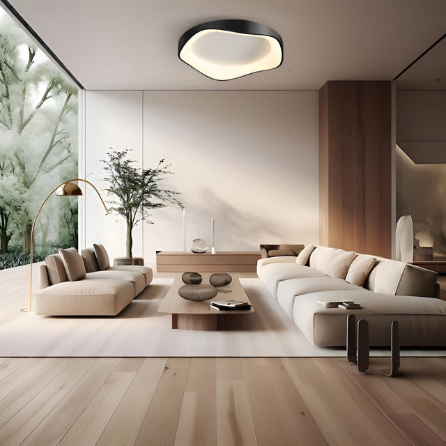 Virelli Ceiling and Wall Light for Living Room