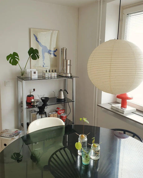 Mid-Century Pendant Light for Contemporary Interiors