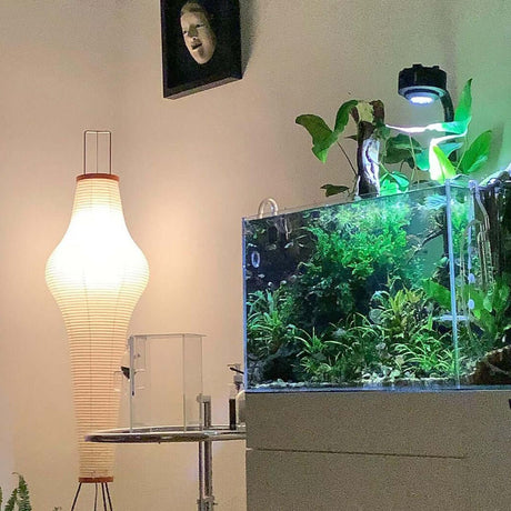 Kazumi Rice Paper Floor Lamp by OpalDwell Soft Ambient Glow OpalDwell