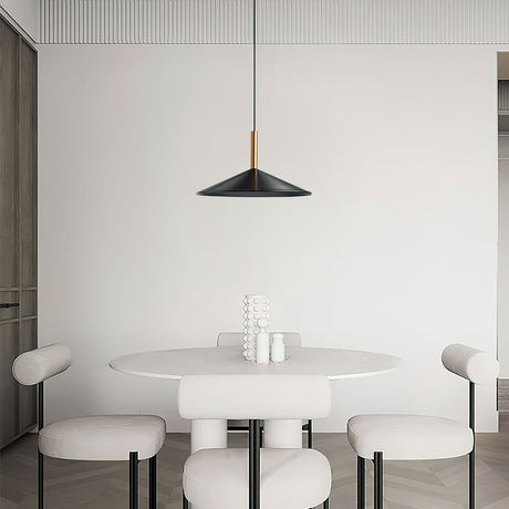 Pendant light in contemporary interior