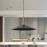 Pendant light illuminated warm glow