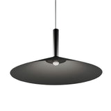Metal Pendant Light Integrated LED Energy-Efficient Glow - OpalDwell