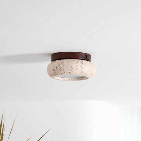 Hardwired Ceiling Light for Living Room