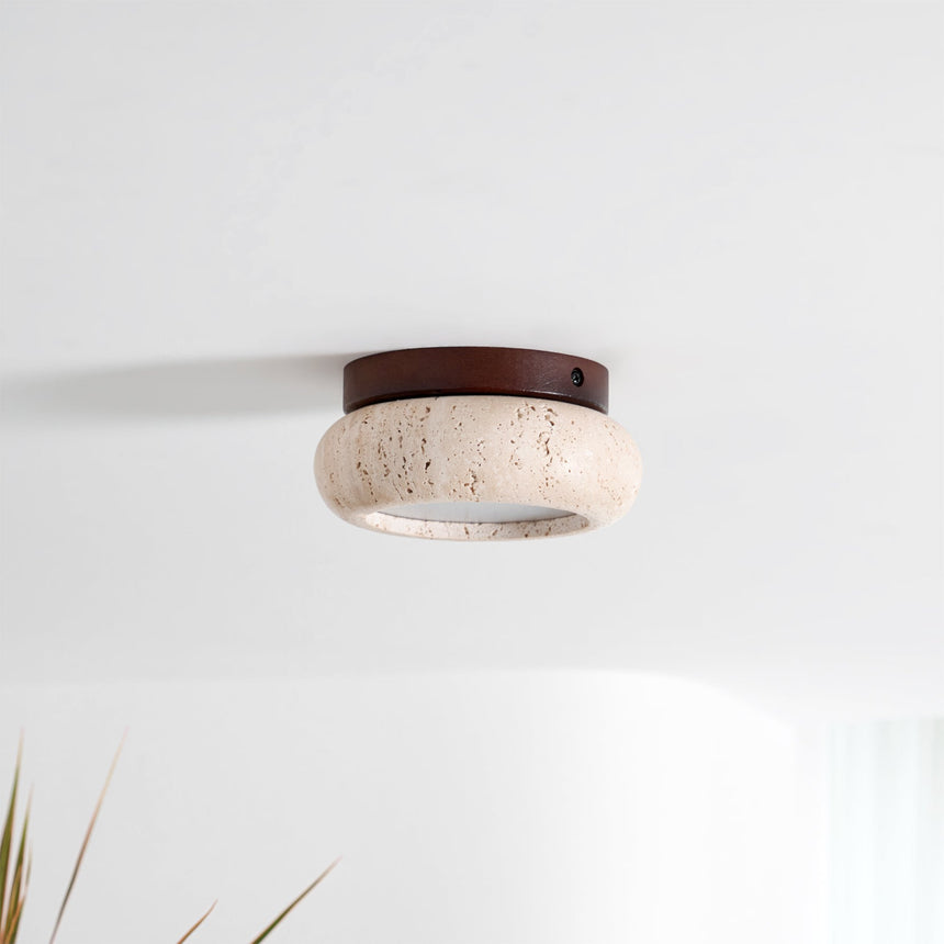 Hardwired Ceiling Light for Living Room