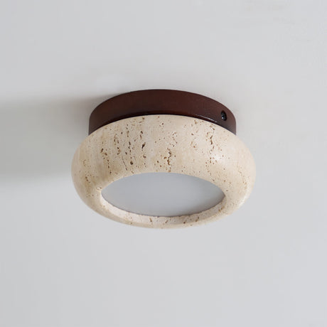 Ceiling Light for Hallway and Closet