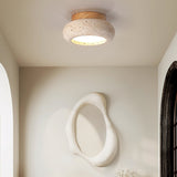 Compact Ceiling Light Home Decor