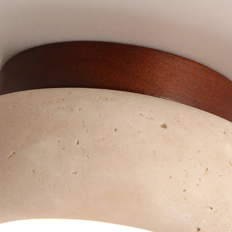 Hardwired Ceiling Light for Living Room