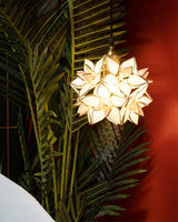 Capiz Shell Lamp Warm Diffused Glow