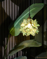Capiz Pendant Light with Natural Shell Shade