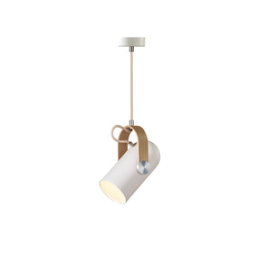 Metal Pendant Lamp Adjustable Cable Installation