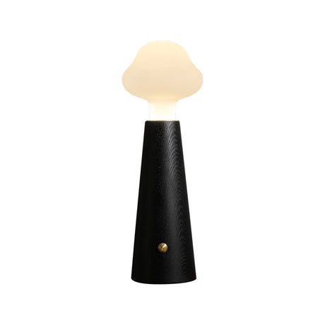 SylvaLume Acrylic Table Lamp for modern homes | OroDwell