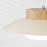 Pendant Light for Kitchen Island Lighting