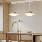 Acrylic Pendant Lamp Detail of Warm LED Glow