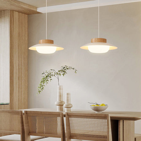 Acrylic Pendant Lamp Detail of Warm LED Glow