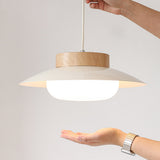 Acrylic Pendant Lamp Close-Up of Silhouette
