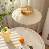 Acrylic Pendant Lamp Additional Angle View