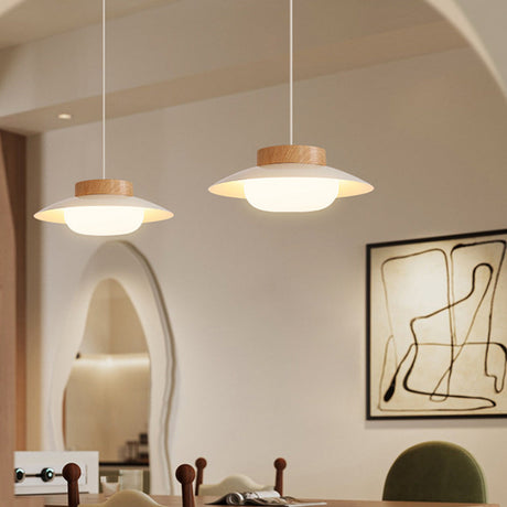 Acrylic Pendant Lamp for Modern Homes