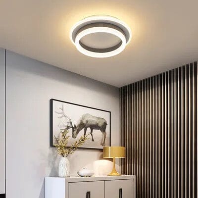 Ceiling Lamp for Hallway Ambiance