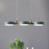 Nordic Ceiling Light Installation View