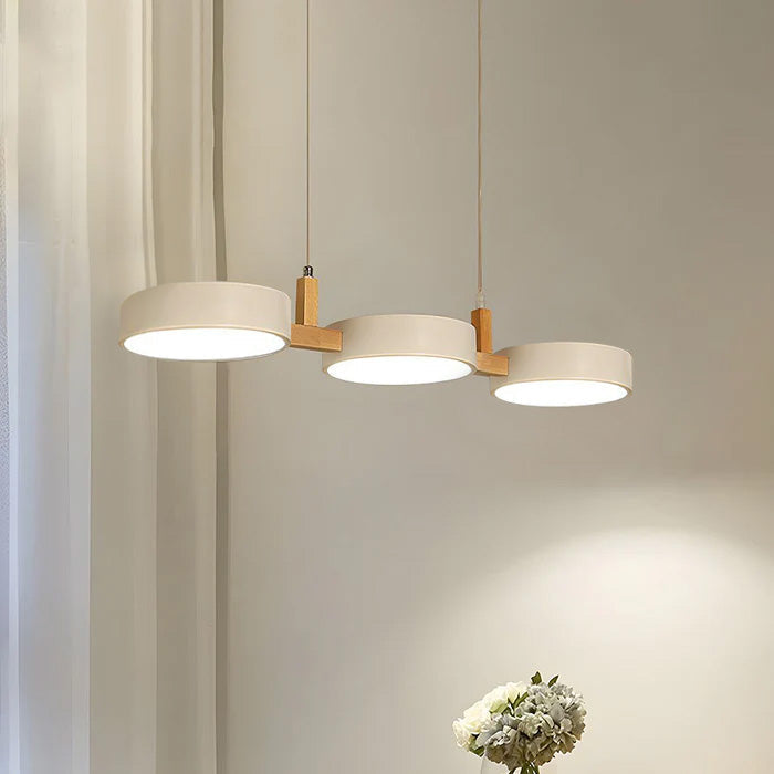 Nordic Ceiling Light for Home Decor Enthusiasts