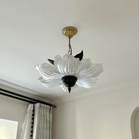 Acrylic Pendant Light Detail Texture View OpalDwell