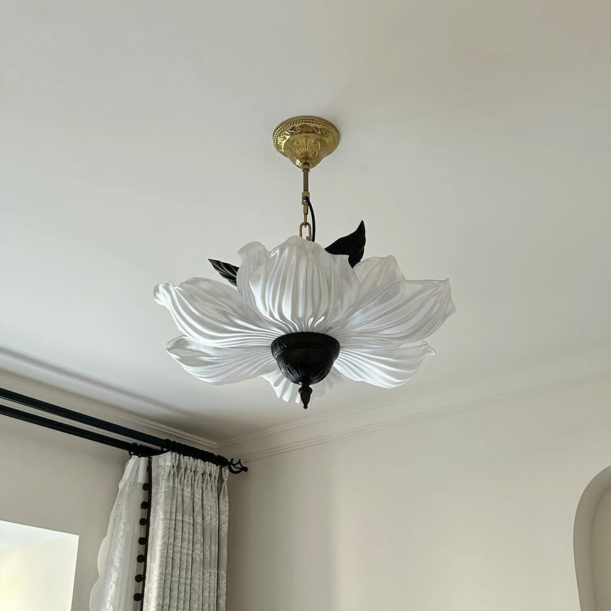 Pendant Light Warm Glow Ambiance View OpalDwell