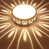 Round Ceiling Light for Modern Homes