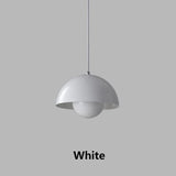 Iron Pendant Light Design