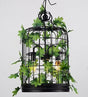 Black Cage Chandelier Ambient Lighting for Modern Homes