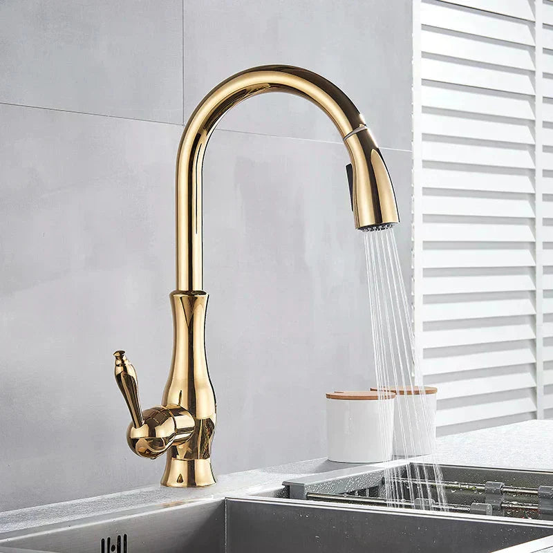 Gold Kitchen Faucet Pull-Out Spray