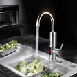 Avelon Electric Kitchen Faucet Instant Hot Water