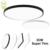 Ceiling Light for Bathroom and Kitchen