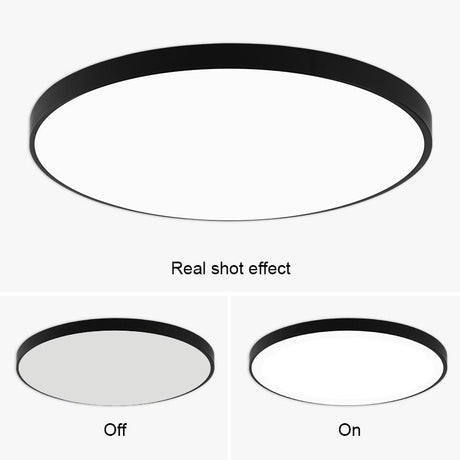 Iron Ceiling Light Warm and Cold Light