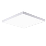 Ceiling Light for Bathroom and Kitchen