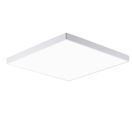 Ceiling Light for Bathroom and Kitchen