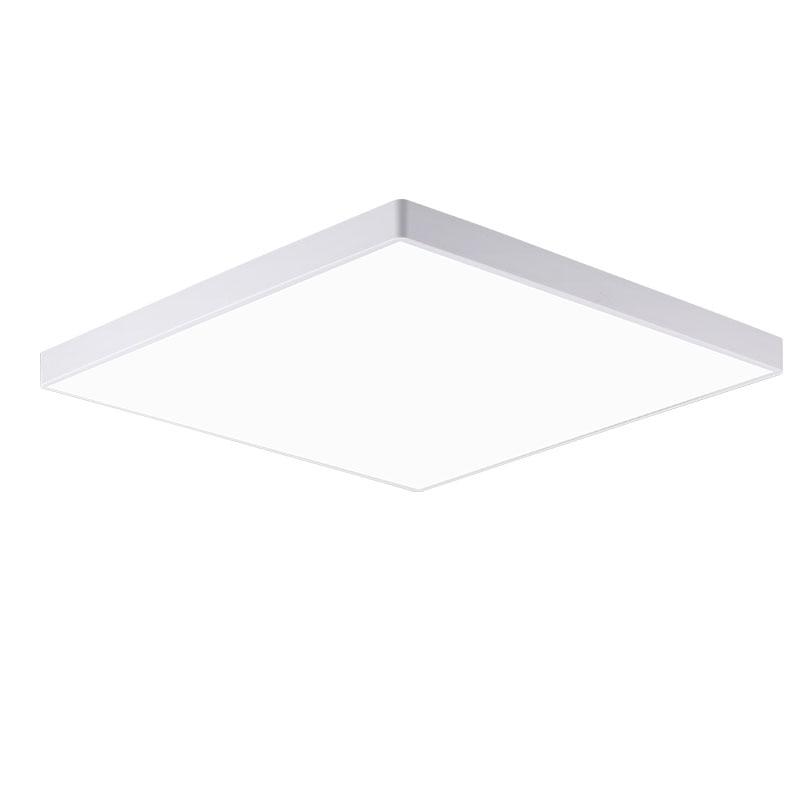 Ceiling Light for Bathroom and Kitchen